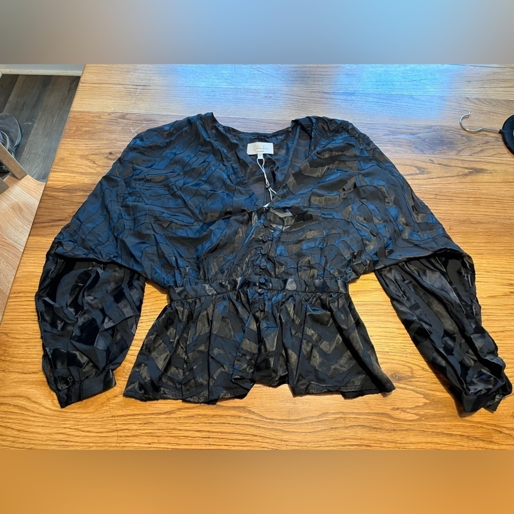 LACADEMIE Elegant NWT Black Women's Sheer Top Size XS - Picture 4 of 8
